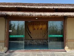 -泗洪洪泽湖湿地景区