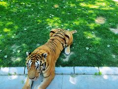 -北京野生动物园