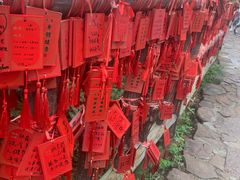 -金逸影城(荟聚IMAX激光店)