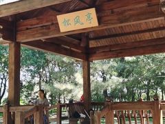 -大兴滨河森林公园