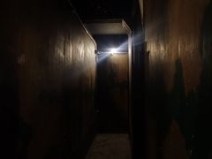 -Mr.Fox狐狸先生超级密室(南山店)