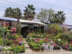 -三圣花乡旅游区