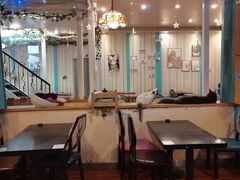 大堂-猫小院猫主题咖啡厅(北锣店)