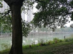 -成都市活水公园
