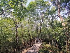 -紫金山山顶公园