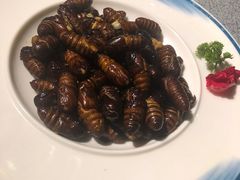 -同喜烤鸭店(光芒店)