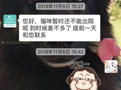 -安安宠物医院(佳林路分院)