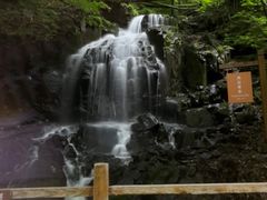 -本溪汤沟绿石谷森林公园