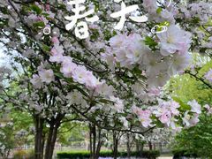 -海棠花溪(元大都城垣遗址公园)