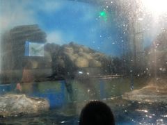 -锦艺城海洋馆