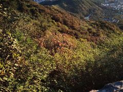 -北京西山国家森林公园