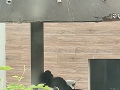 -上方山森林动物世界