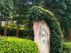 -十八棵（老龙井）御茶园(老龙井店)