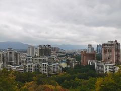 -福道