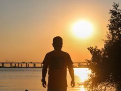 -宝安西湾红树林湿地公园