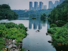-重庆彩云湖湿地公园