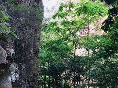 -九龙潭景区
