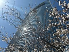 -西门子中国有限公司(阜通东大街店)
