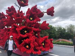 -荷兰花海