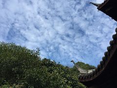 -杭州半山国家森林公园