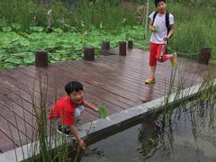 -武清南湖绿博园