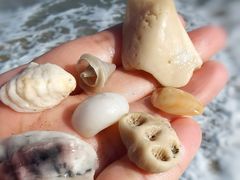 -白沙门生态公园