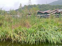 -西湖风景区-江洋畈生态公园