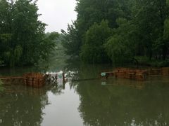 -溱湖国家湿地公园