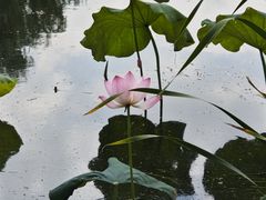 -金银湖国家城市湿地公园