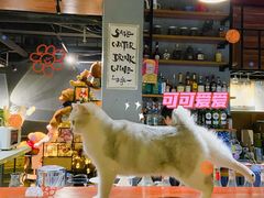 -咖法森林·咖啡  酒吧(天河店)