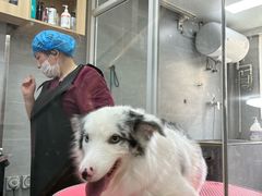 -宠福鑫康馨动物医院·骨科·眼科