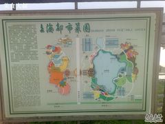 -上海都市菜园