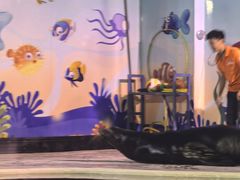 -太平洋海底世界