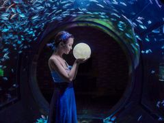 -成都浩海立方海洋公园