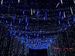 -长春公园(普阳街道)