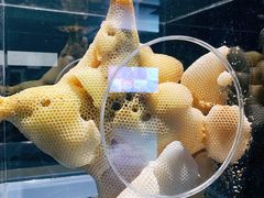 -现代汽车文化中心 Hyundai Motorstudio Beijing