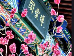 -梅花山(明孝陵内)