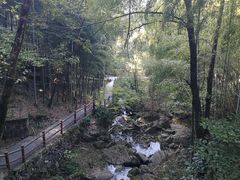 -藏龙百瀑风景区