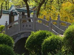 -沈阳植物园