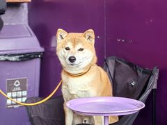 -HANA COFFEE(长寿路店)