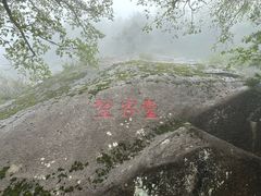 -王顺山国家森林公园