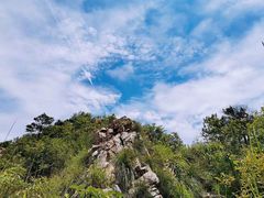 -午潮山国家森林公园