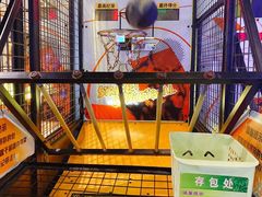 -反斗乐园π·电玩·高空拓展·蹦床(龙华天虹店)