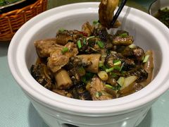 鳝鱼烧猪尾-善银私房菜馆(金舟花园小区店)