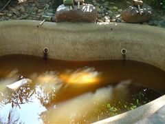 -三亚珠江南田温泉度假区