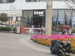 -粘芭喃腊云南的菜