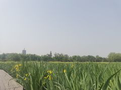 -永定河休闲森林公园