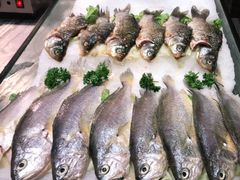-盛宴标帜西餐厅龙虾.鲍鱼•牛排(重庆喜来登大酒店)