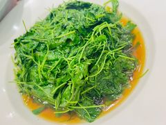 酒香草头-金时代顺风大酒店(协泰店)