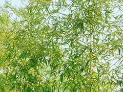 -水月周庄铂尔曼酒店-水月荟中餐厅